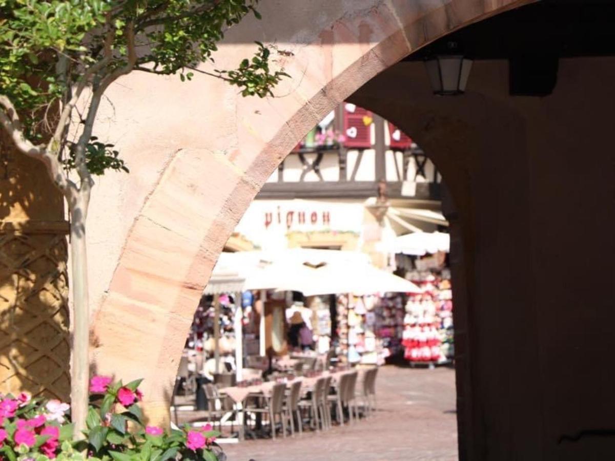 Appartement Spacieux A Colmar Avec Terrasse, Garage Privatif, Proche Centre Et Gare - Fr-1-722-2 外观 照片