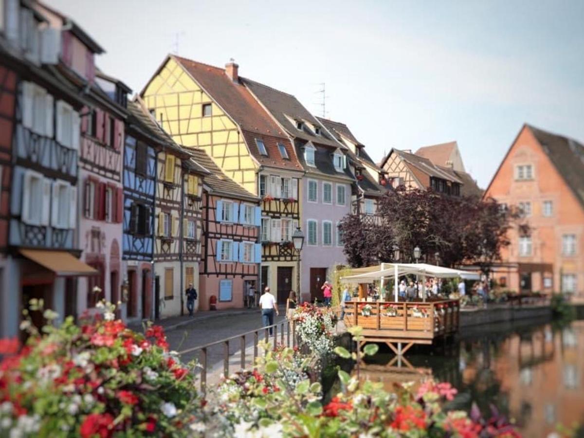 Appartement Spacieux A Colmar Avec Terrasse, Garage Privatif, Proche Centre Et Gare - Fr-1-722-2 外观 照片